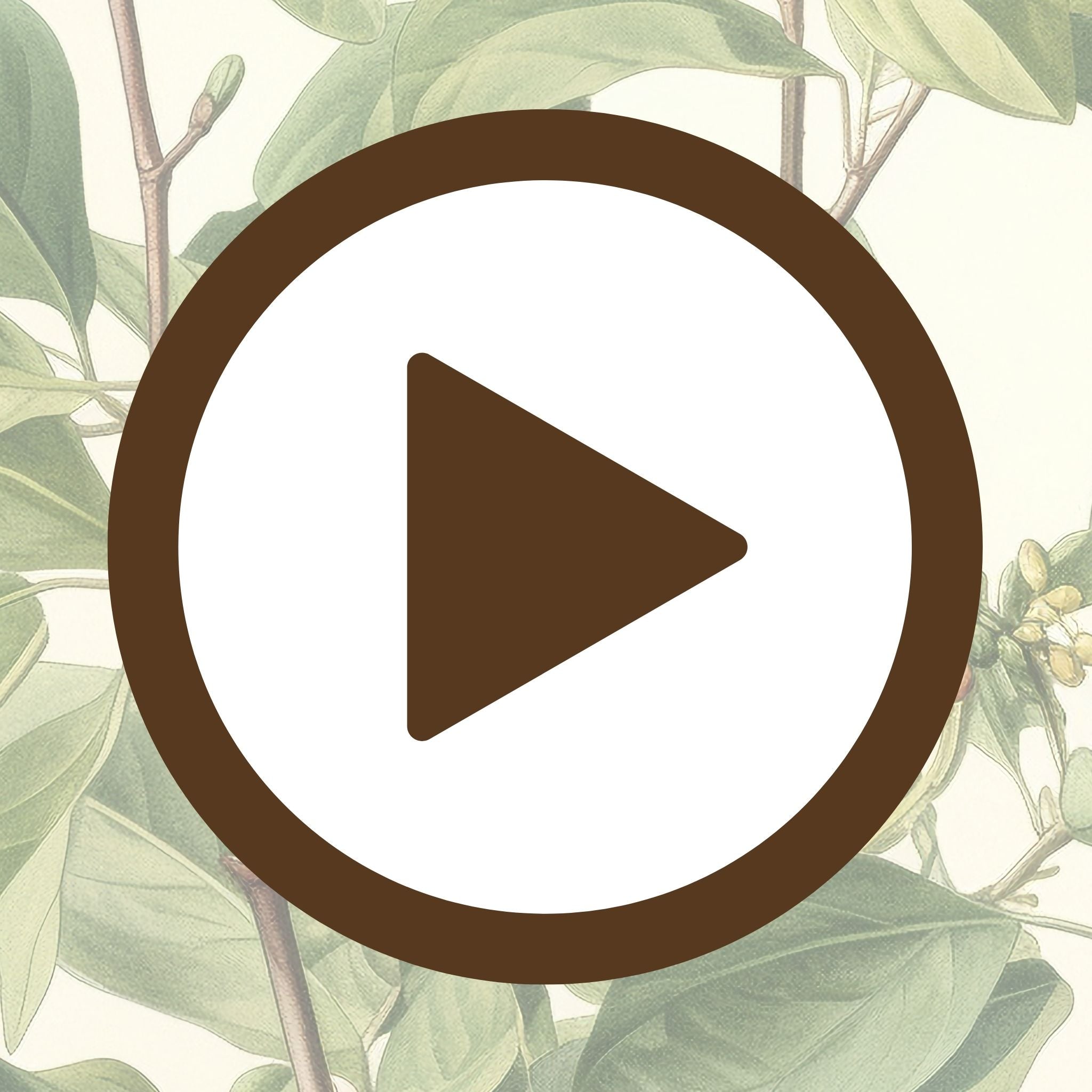 Poster featuring a cluster of green leaves in a botanical study layout

