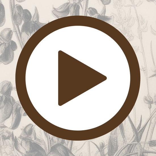 Classic pen and ink poster of botanical elements with precise line work

