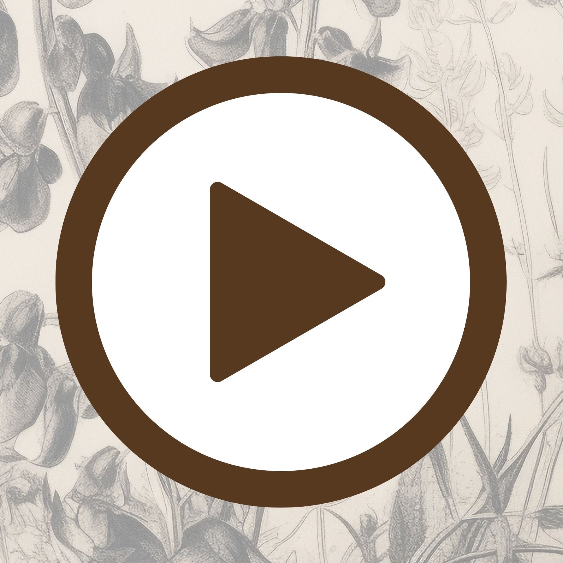 Classic pen and ink poster of botanical elements with precise line work

