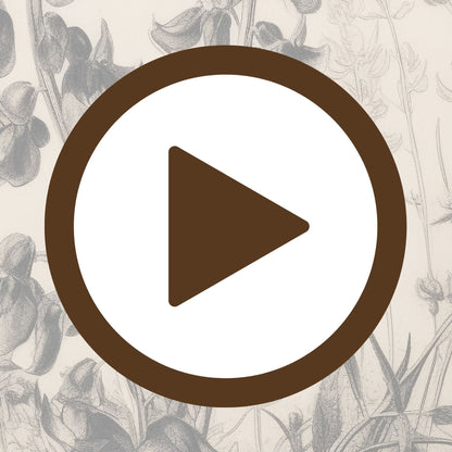 Classic pen and ink poster of botanical elements with precise line work

