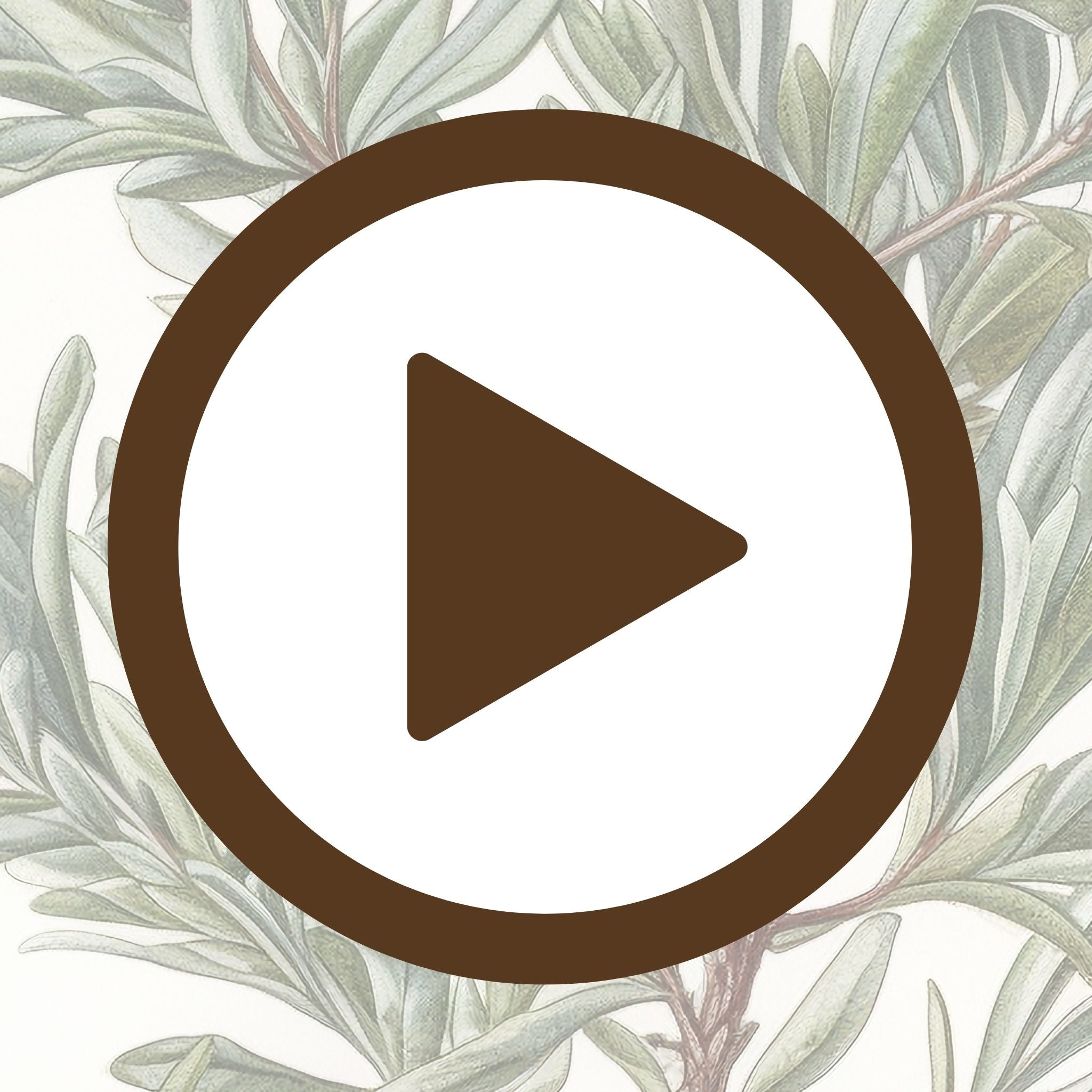 Classic botanical representation of sea buckthorn leaf patterns and texture