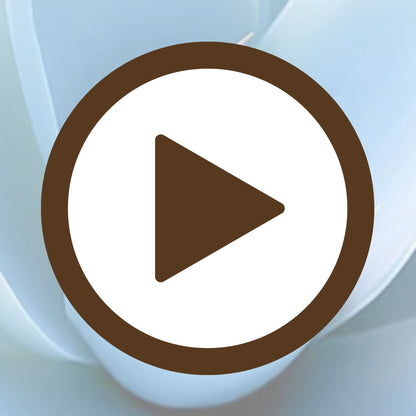 detailed-blue-succulent-photo-poster