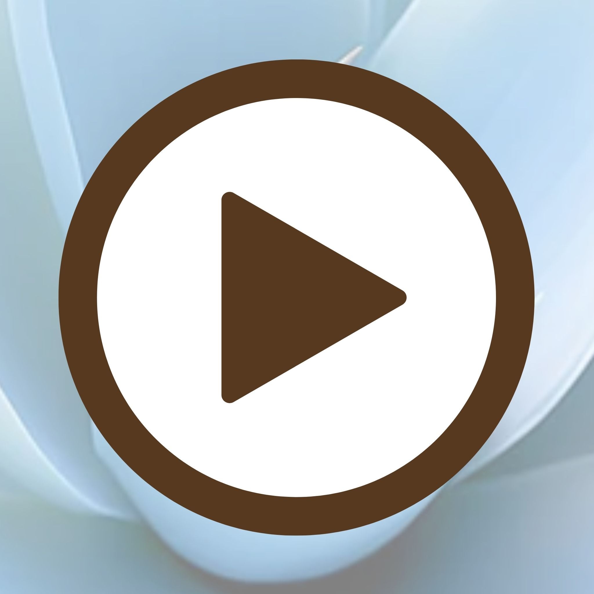 detailed-blue-succulent-photo-poster