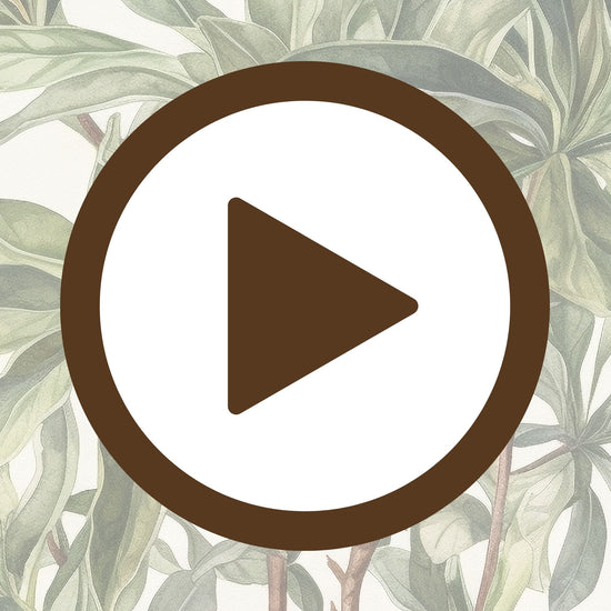 Poster of a blooming botanical paradise with rich natural textures