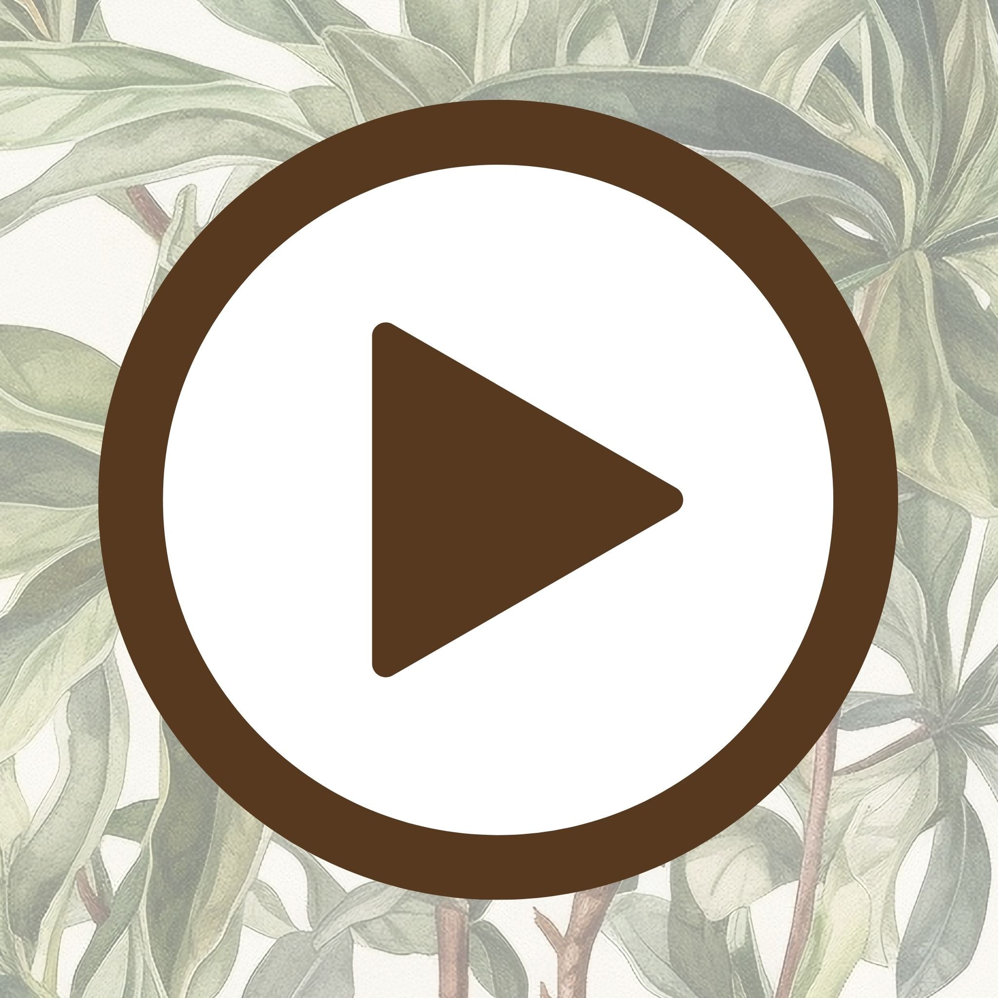 Poster of a blooming botanical paradise with rich natural textures