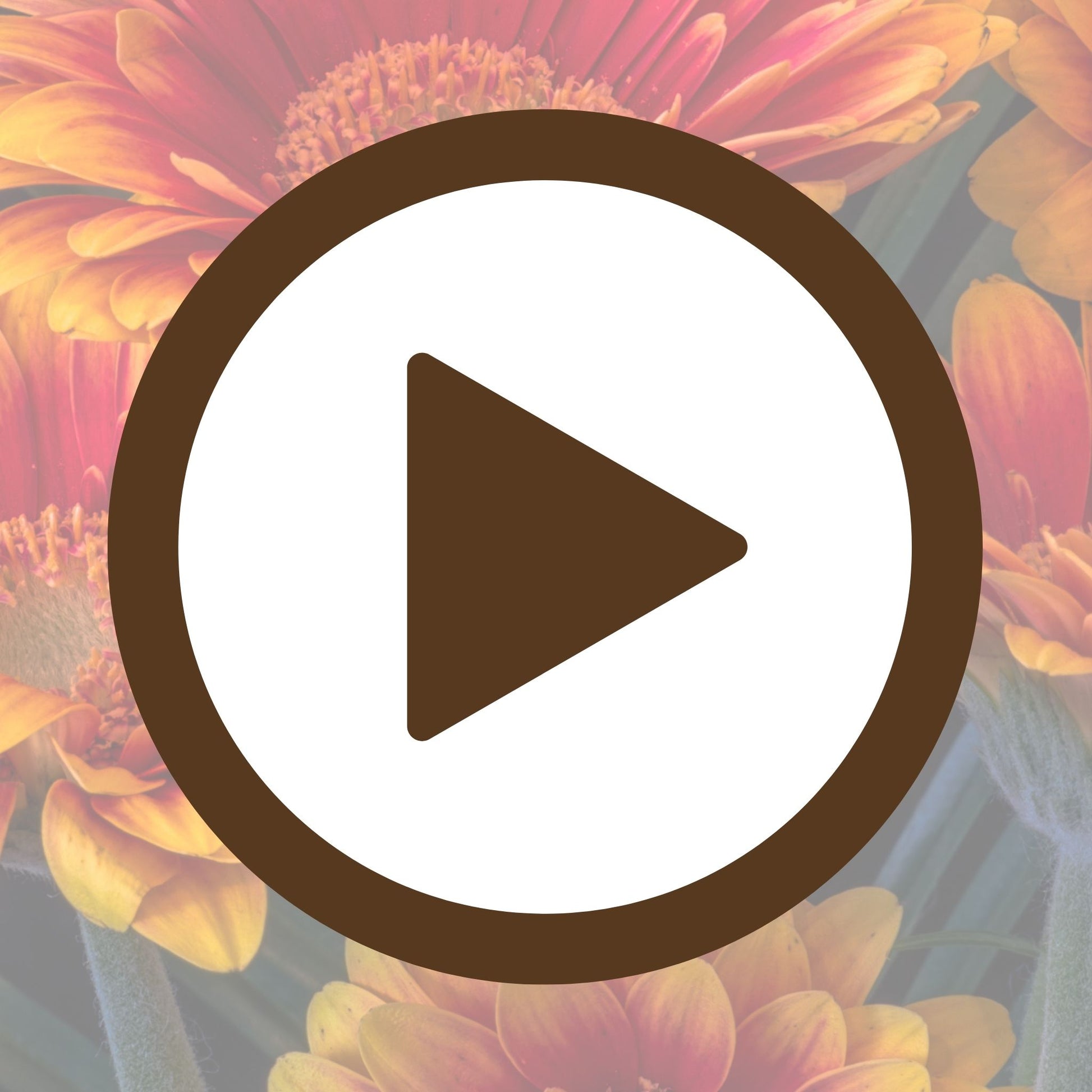 Night-inspired floral print featuring glowing orange flowers in bloom

