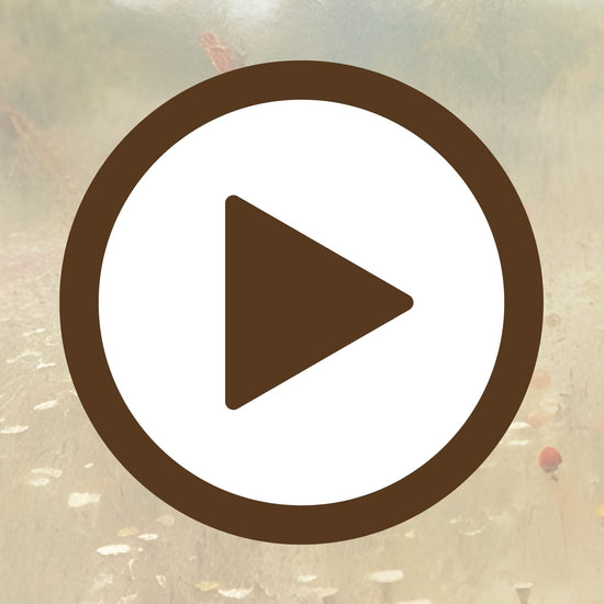 Nature-inspired print of a floral meadow retreat full of stillness

