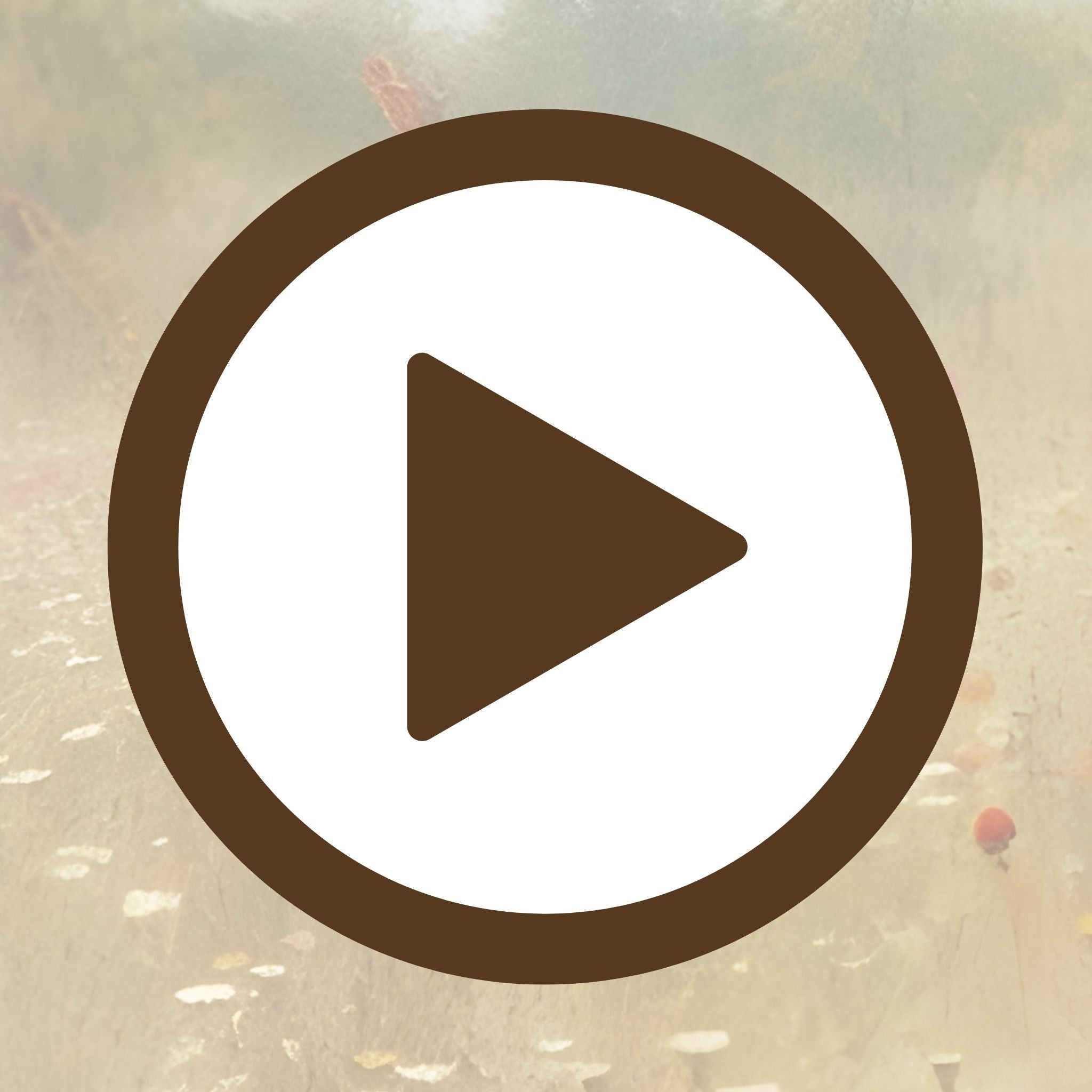 Nature-inspired print of a floral meadow retreat full of stillness

