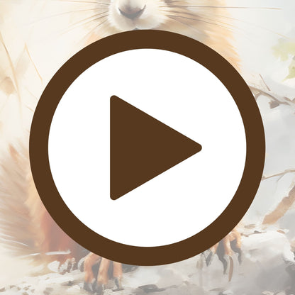 Gentle morning moment with a squirrel enjoying the peace of autumn

