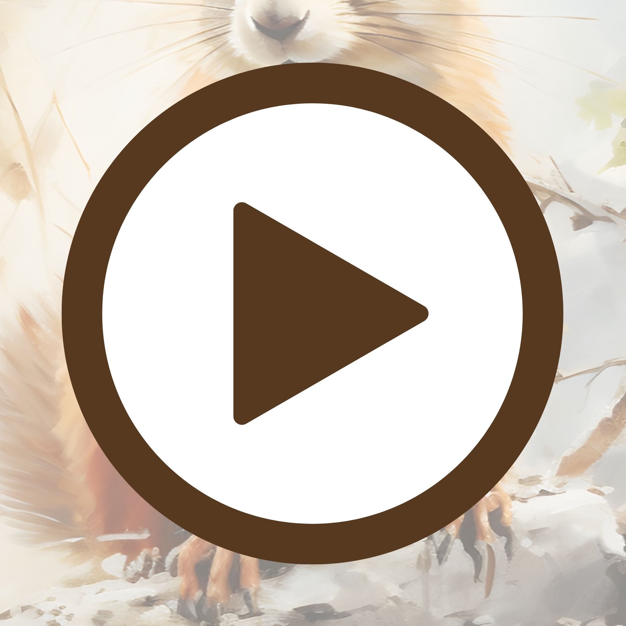 Gentle morning moment with a squirrel enjoying the peace of autumn

