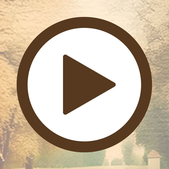 A harmonious walk through the woods captured in soft autumn tones

