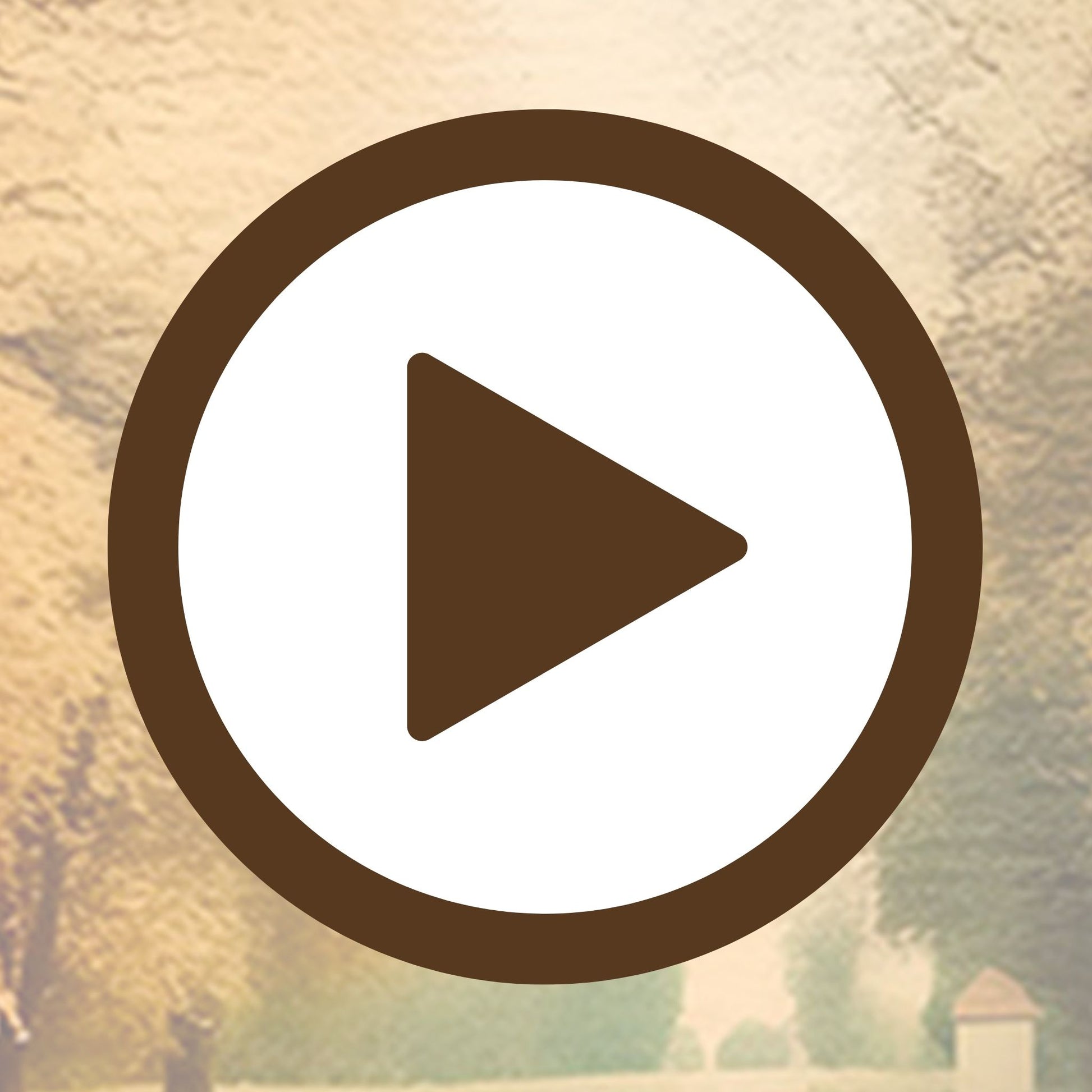 A harmonious walk through the woods captured in soft autumn tones

