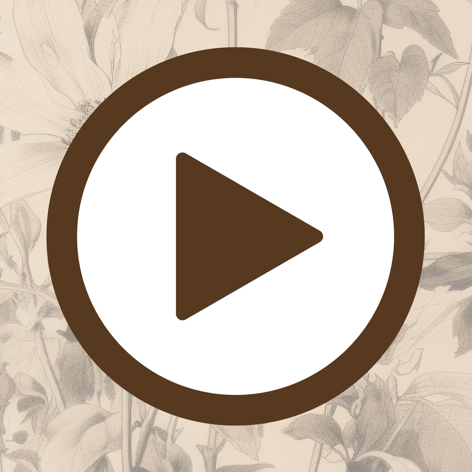 Botanical drawing that celebrates natural form and delicate structure