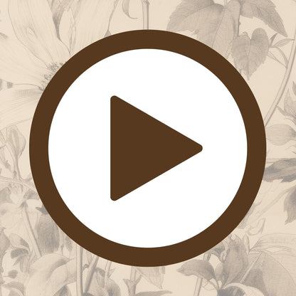 Botanical drawing that celebrates natural form and delicate structure