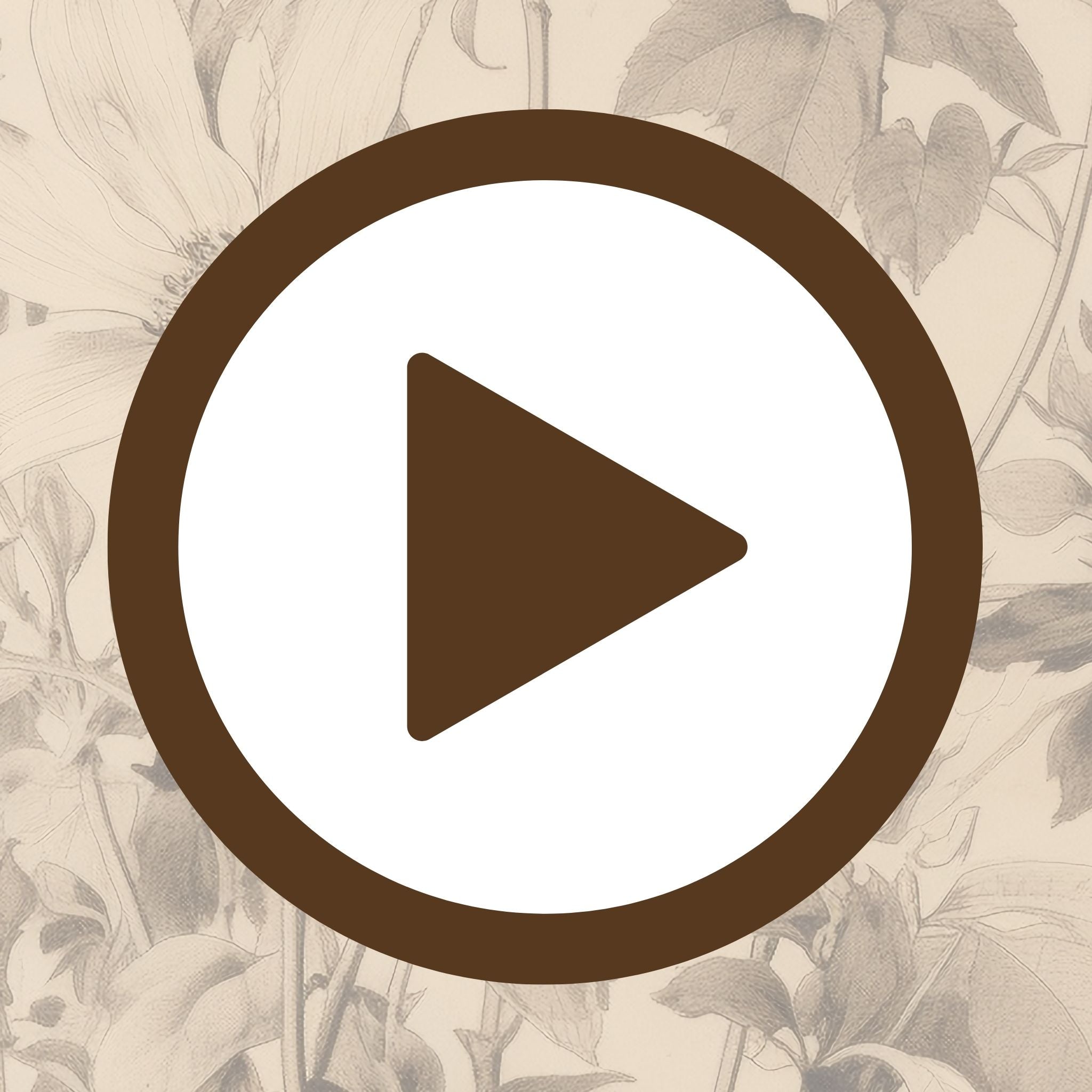 Botanical drawing that celebrates natural form and delicate structure