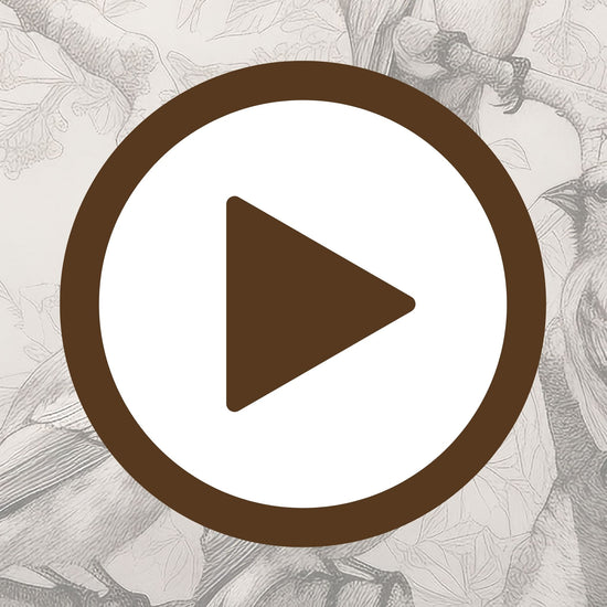 Illustrated birds poised on bare tree branches in soft monochrome