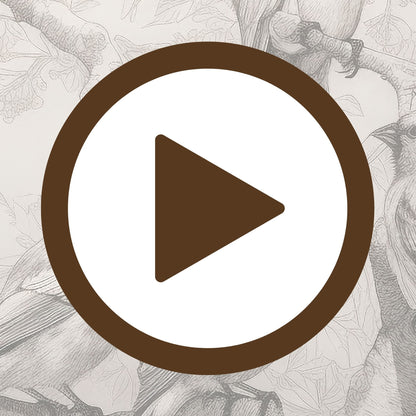 Illustrated birds poised on bare tree branches in soft monochrome