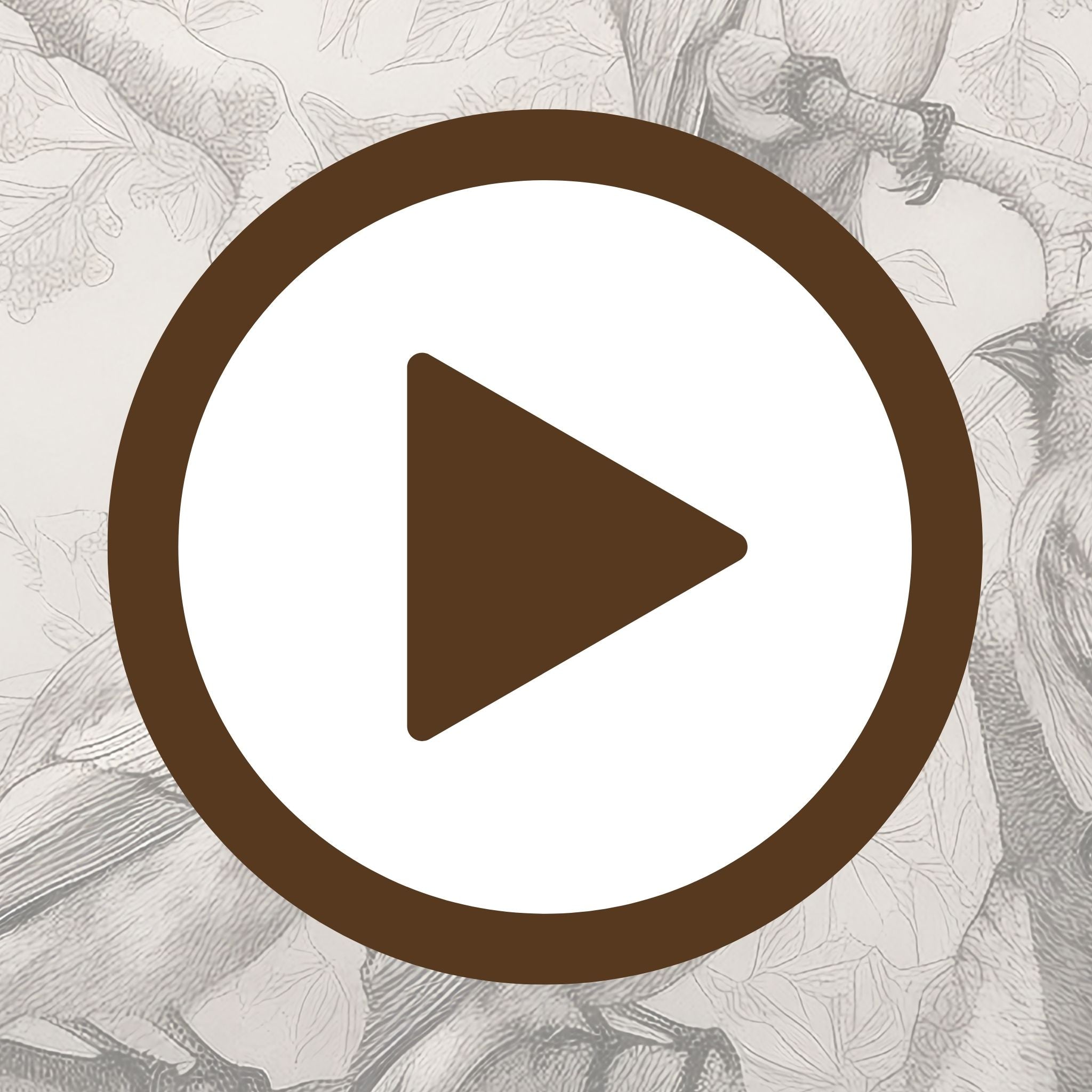 Illustrated birds poised on bare tree branches in soft monochrome