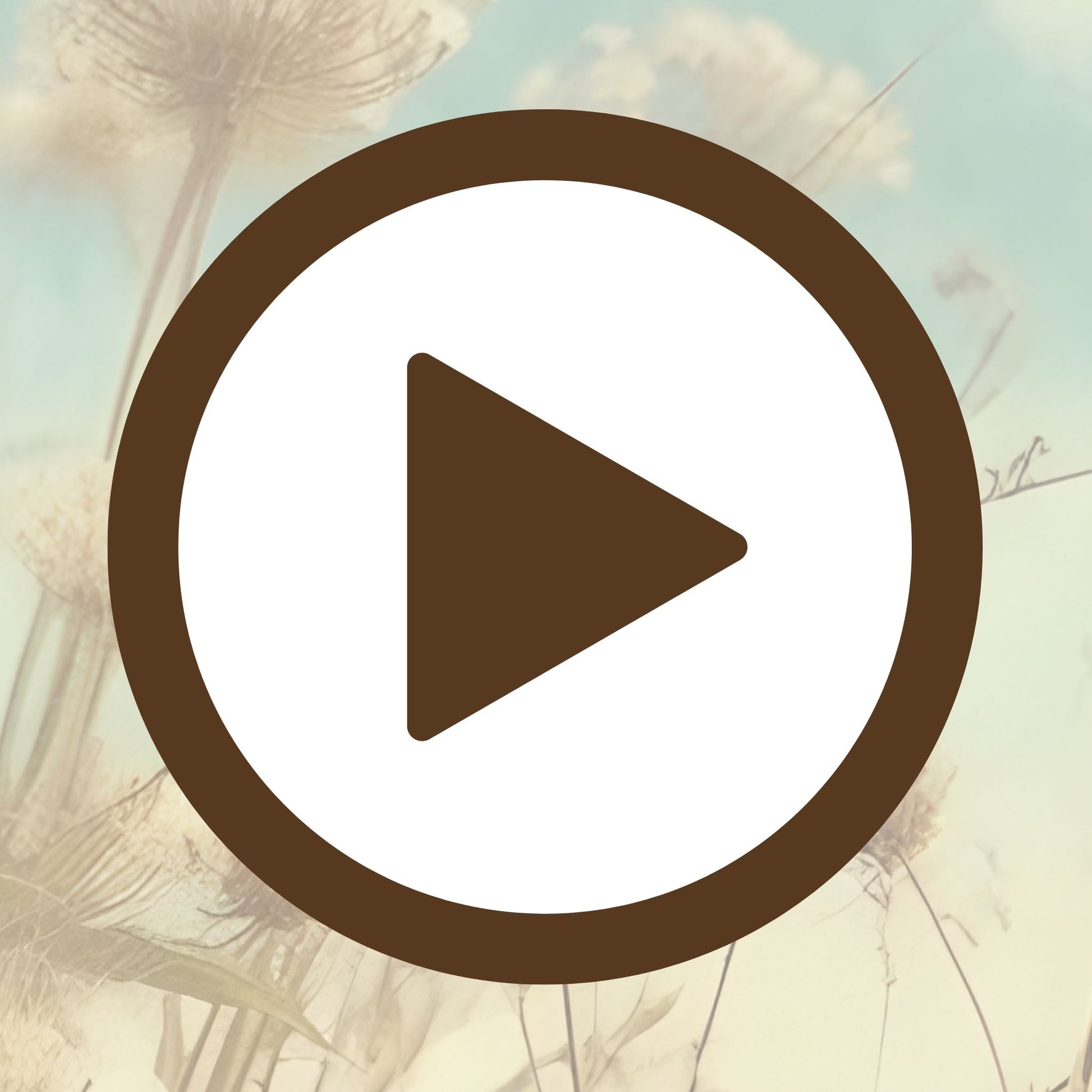 Fantasy-style wildflower field bursting with a splash of joyful colour

