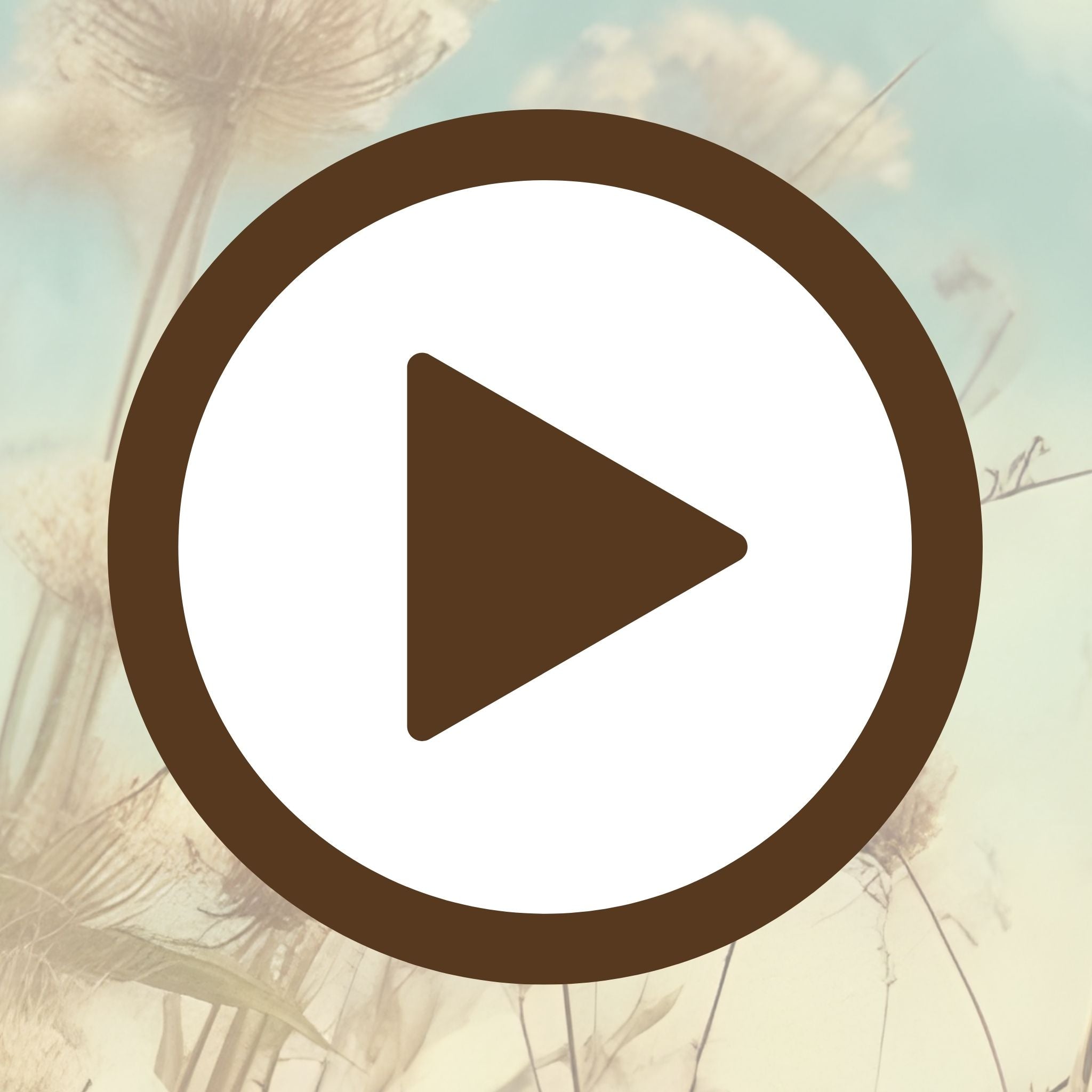 Fantasy-style wildflower field bursting with a splash of joyful colour

