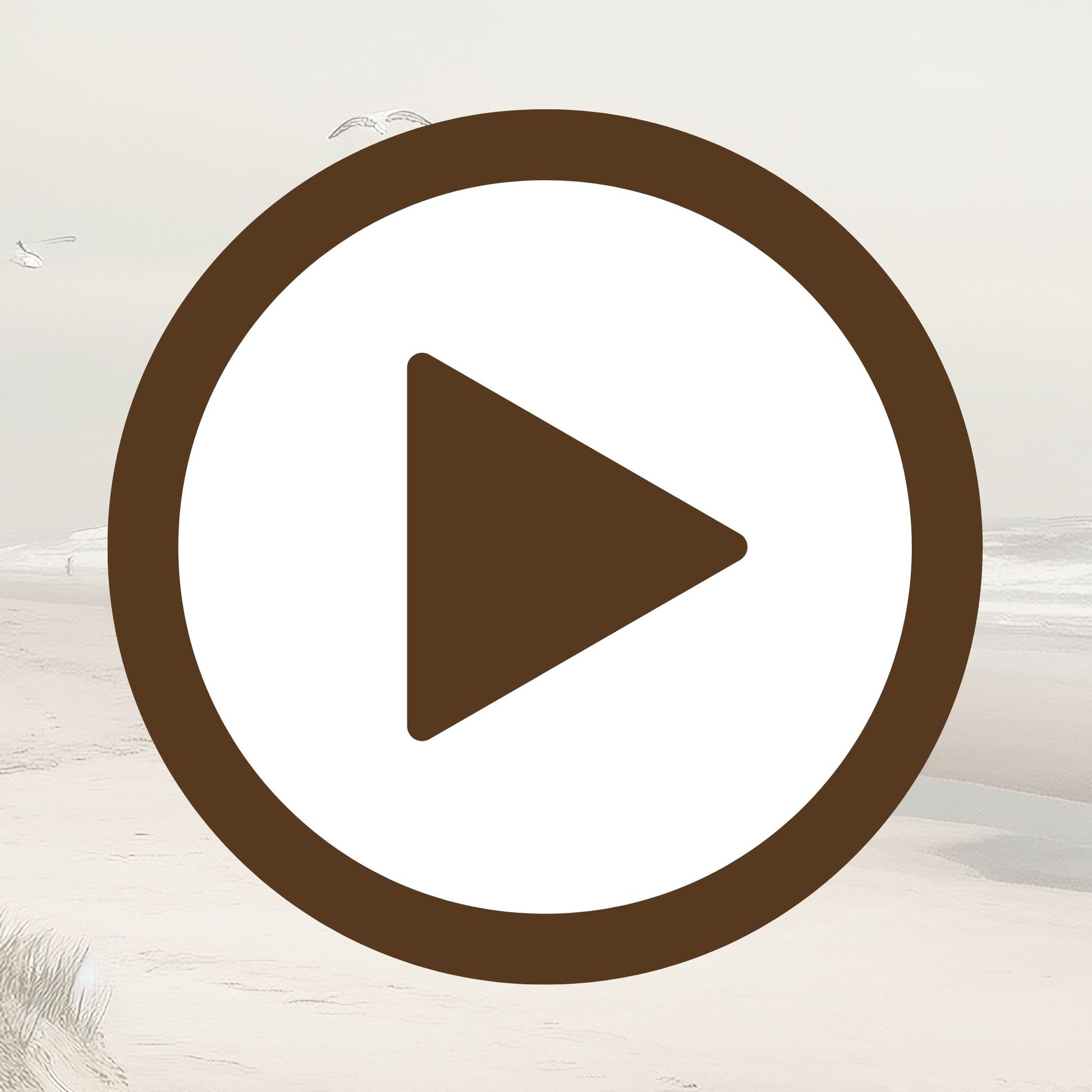 Sunlit shore and birds in flight evoke freedom and calm by the sea