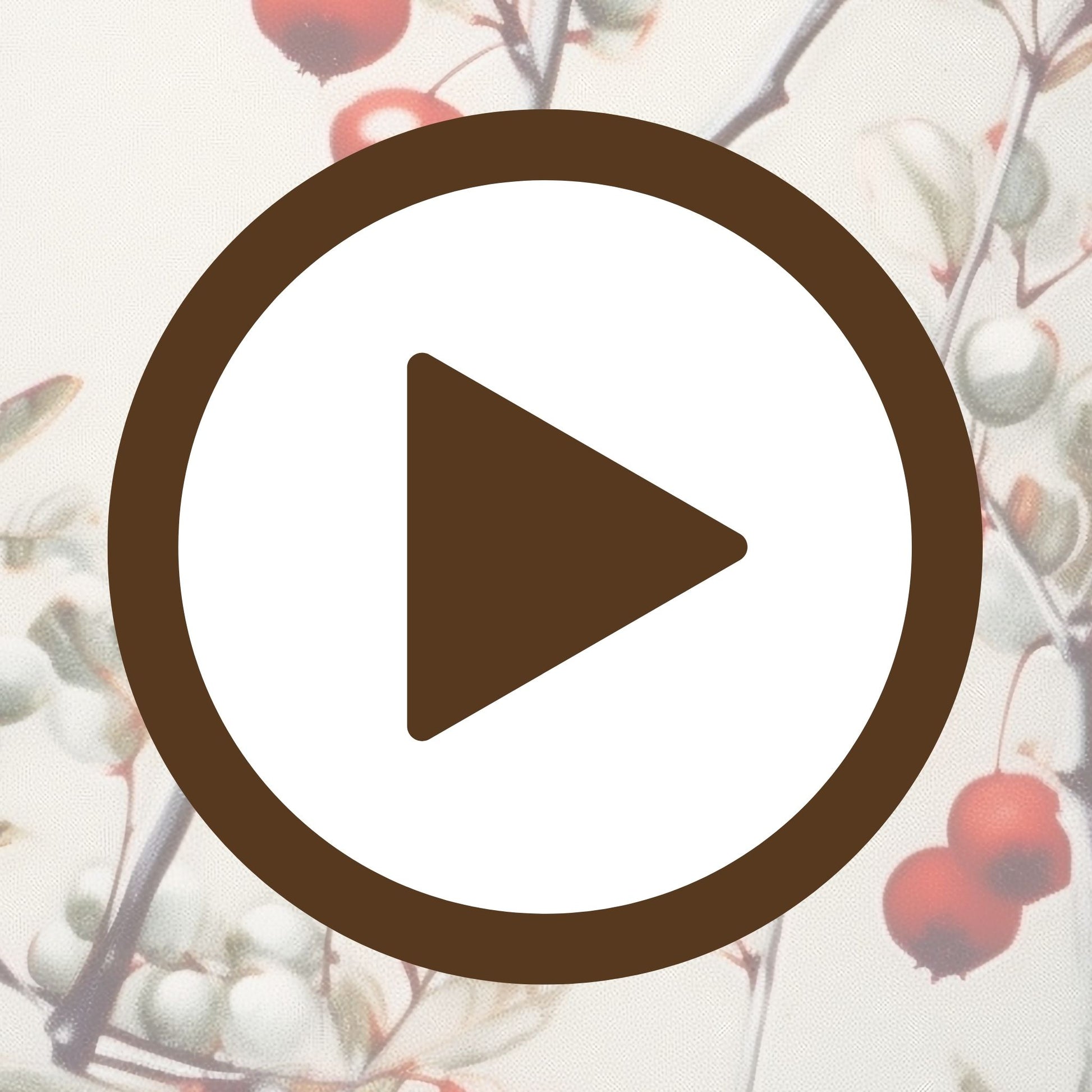 Calm nature detail of red berries balanced delicately on a slender branch