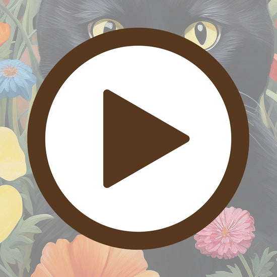 Lush garden scene with a watchful black cat and vibrant floral tones