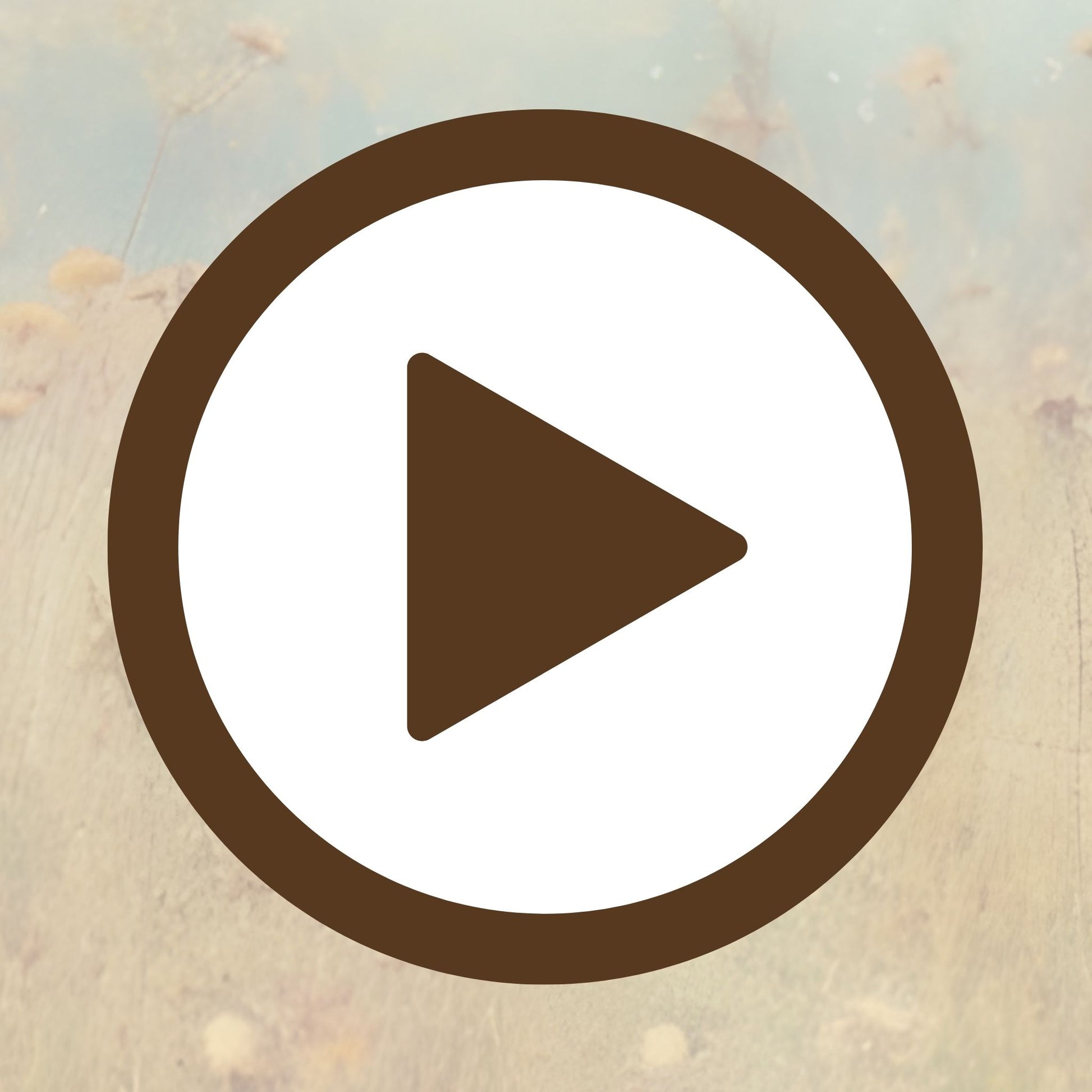 Peaceful flower field immersed in warm dreamy light and quiet charm

