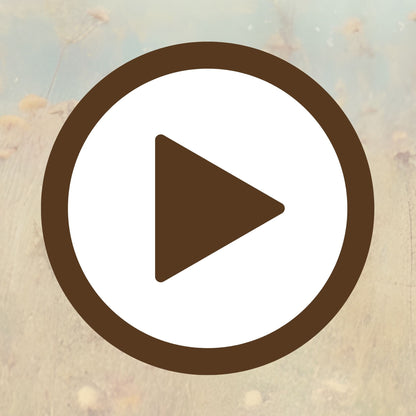 Peaceful flower field immersed in warm dreamy light and quiet charm

