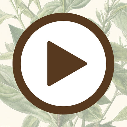 Elegant botanical illustration of a green plant for nature-inspired décor