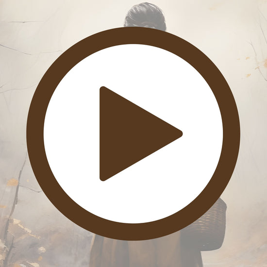 Autumn light filters through fog in a peaceful forest floor setting