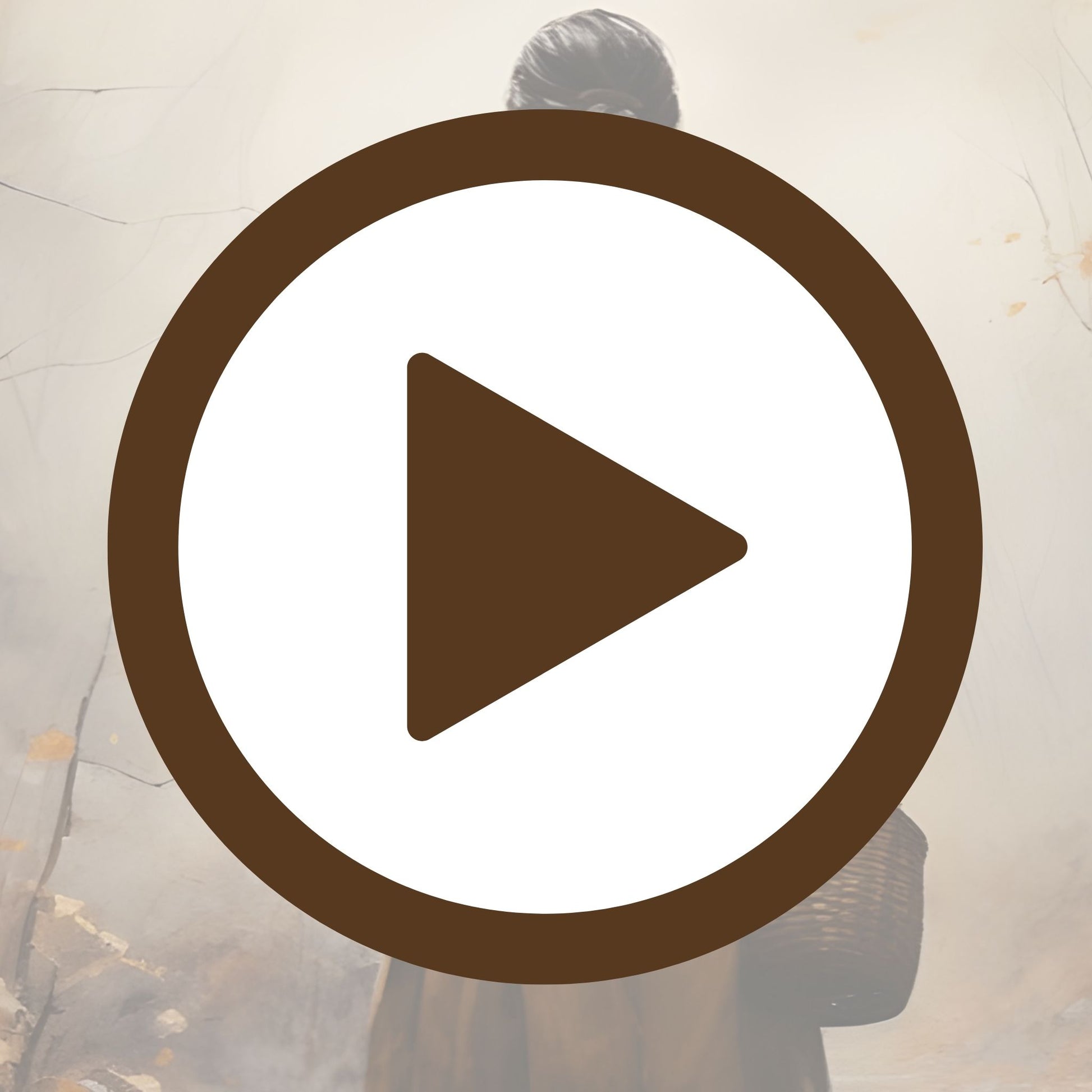 Autumn light filters through fog in a peaceful forest floor setting