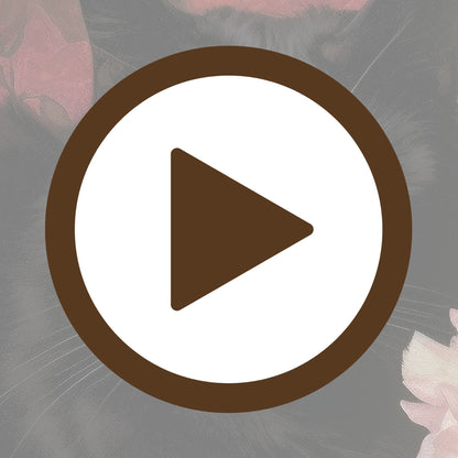 A garden retreat with a black cat at rest among radiant floral blooms