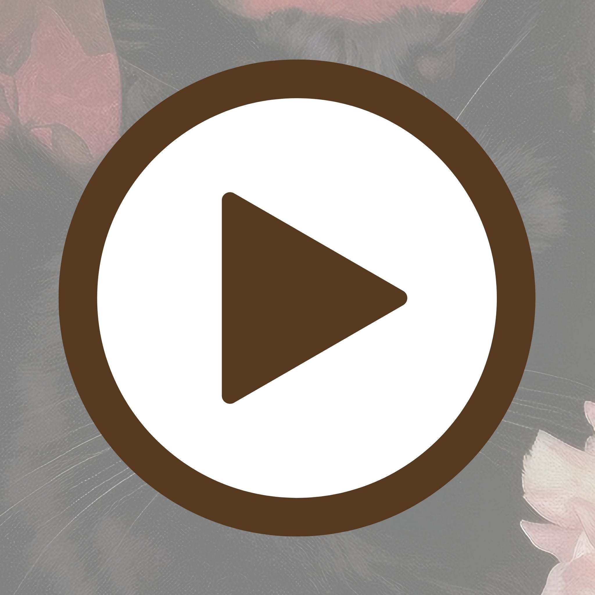 A garden retreat with a black cat at rest among radiant floral blooms