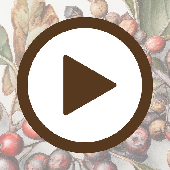 Wall art poster of berry botany with a timeless illustrated charm