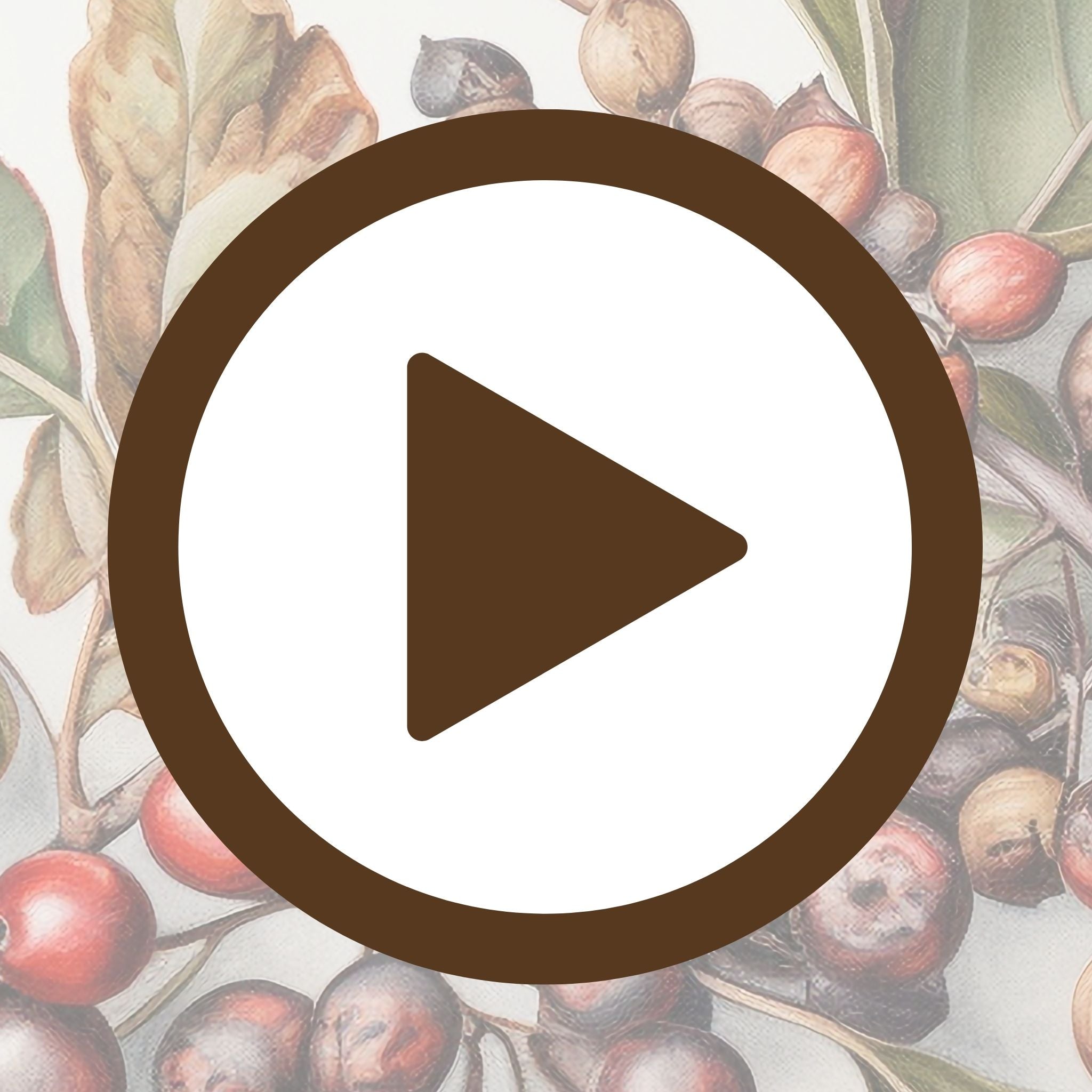 Wall art poster of berry botany with a timeless illustrated charm