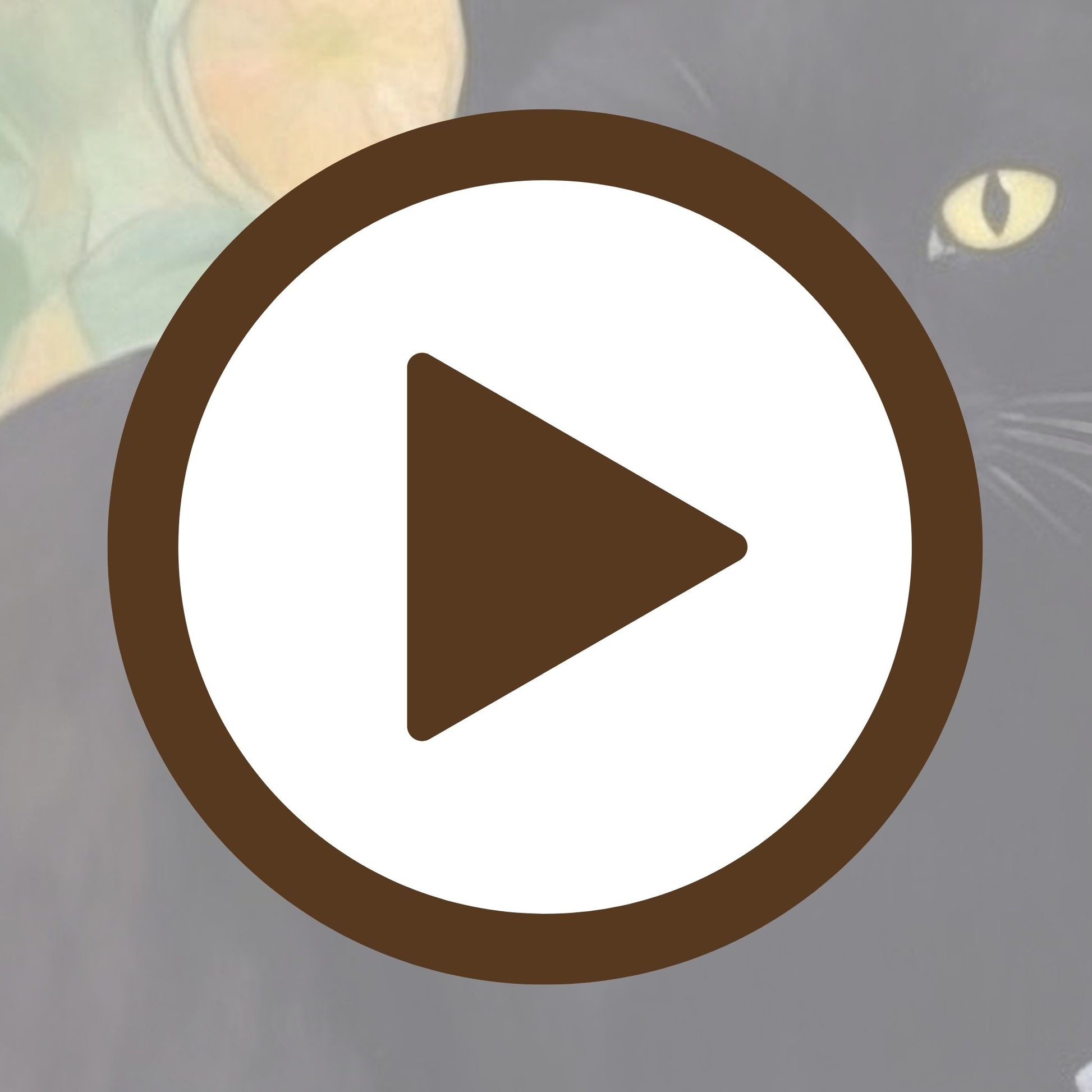 Sunlit garden scene with a gentle black cat and rich floral textures