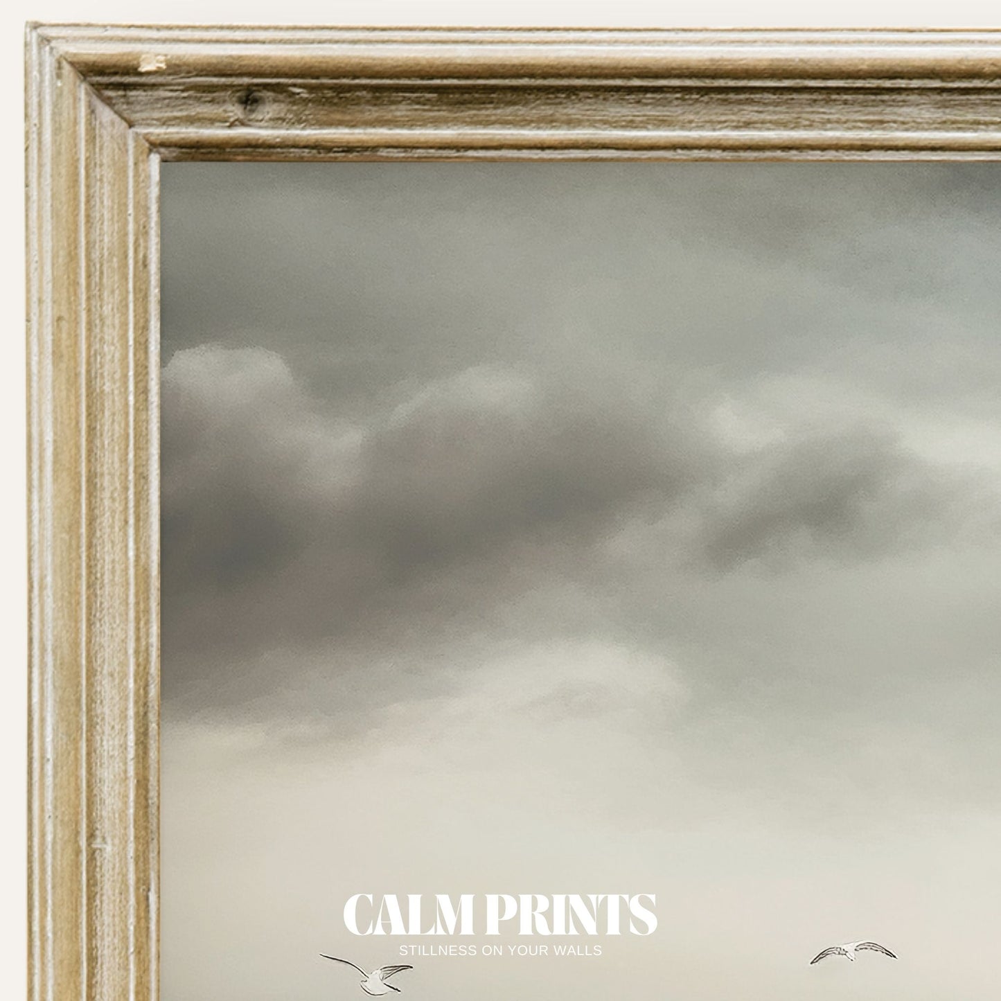 Print of seagulls gliding peacefully above a calm, sunlit shoreline
