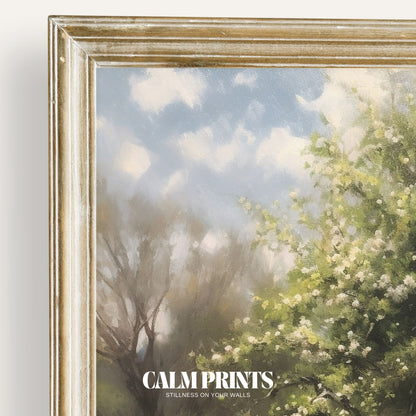 Tree in full spring bloom standing peacefully in a green, sunlit meadow