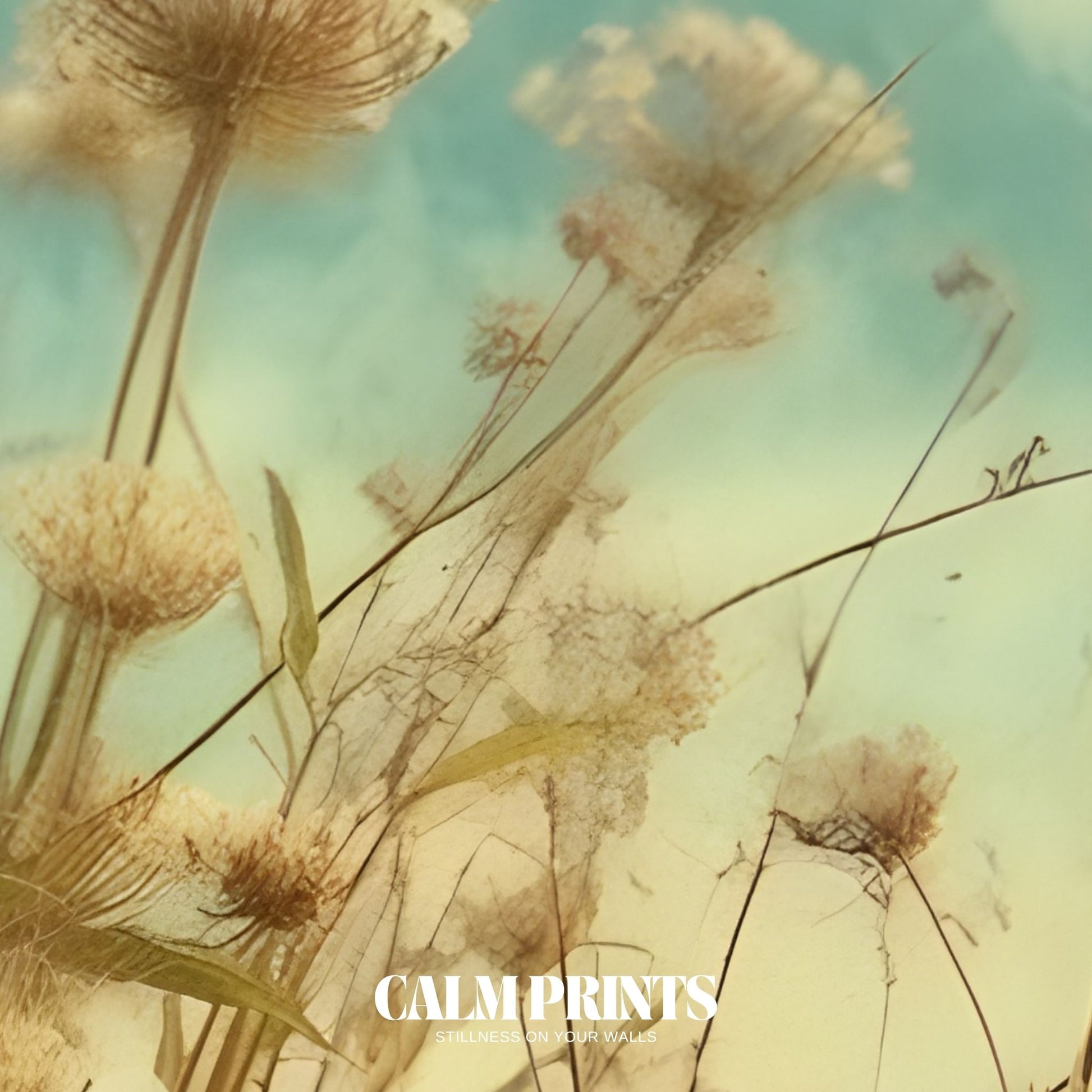 Sunny wildflower meadow in full bloom with a whimsical atmosphere
