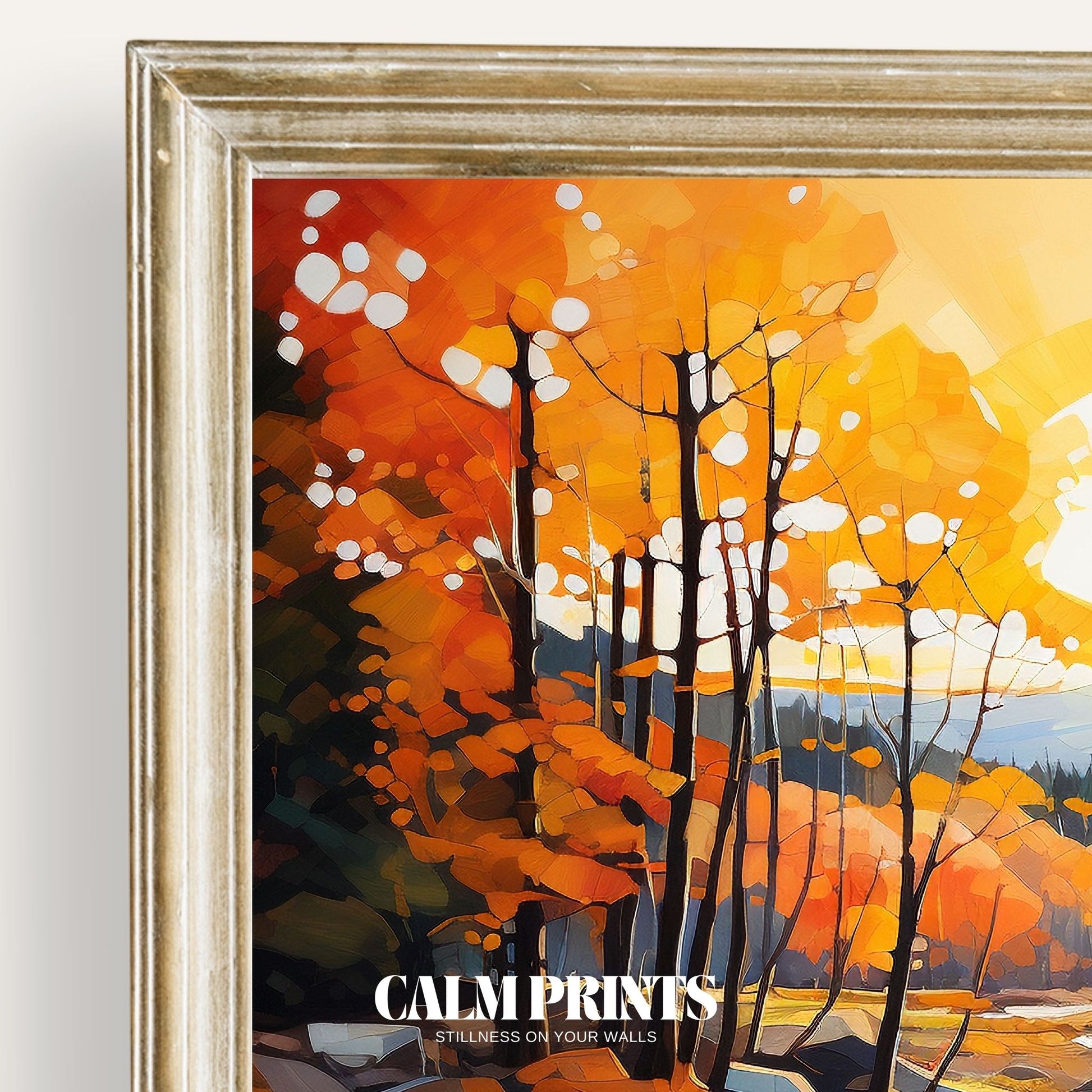 Print of a gentle stream bathed in warm autumn sunset light