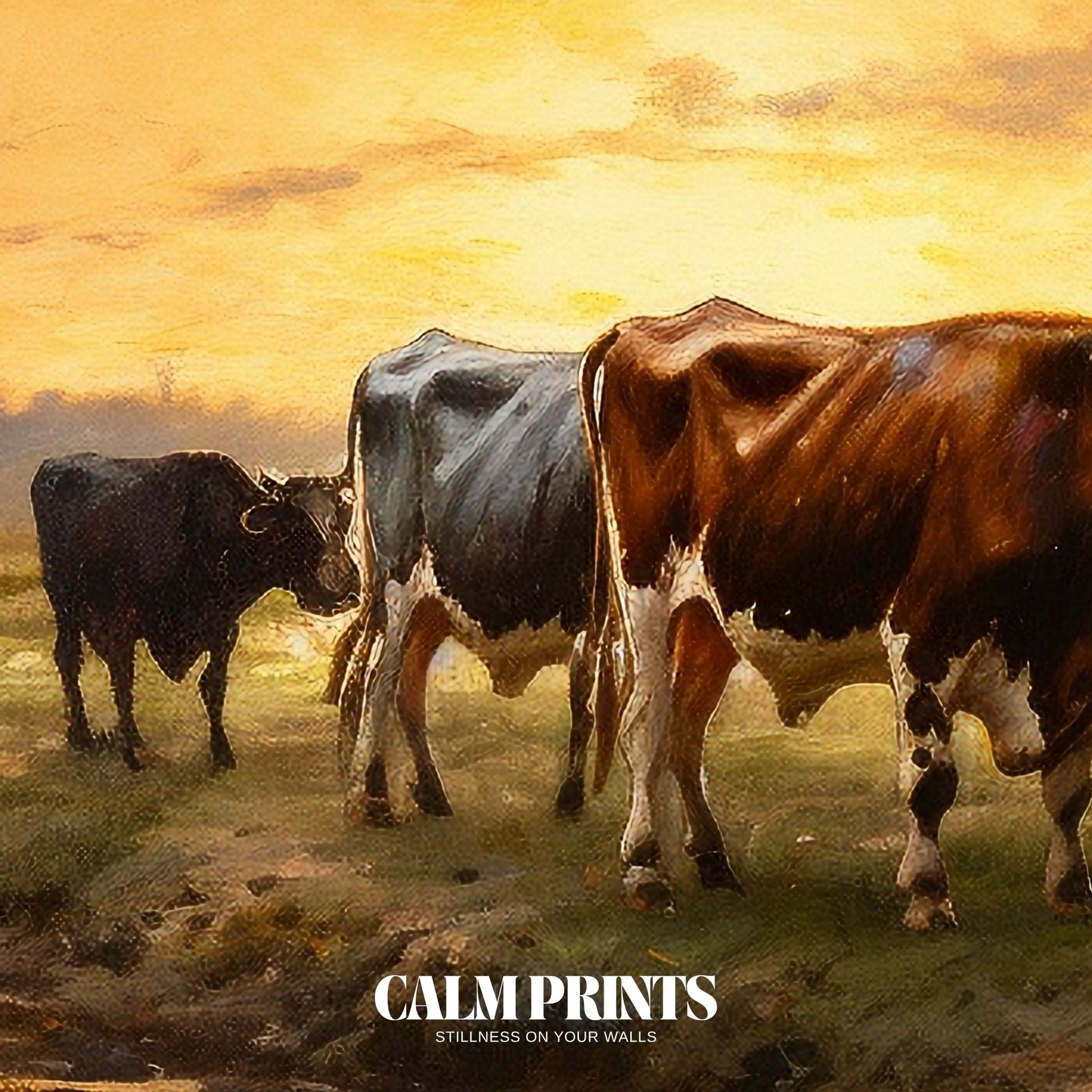 Tranquil evening view of cows beside a slow-moving creek in soft light
