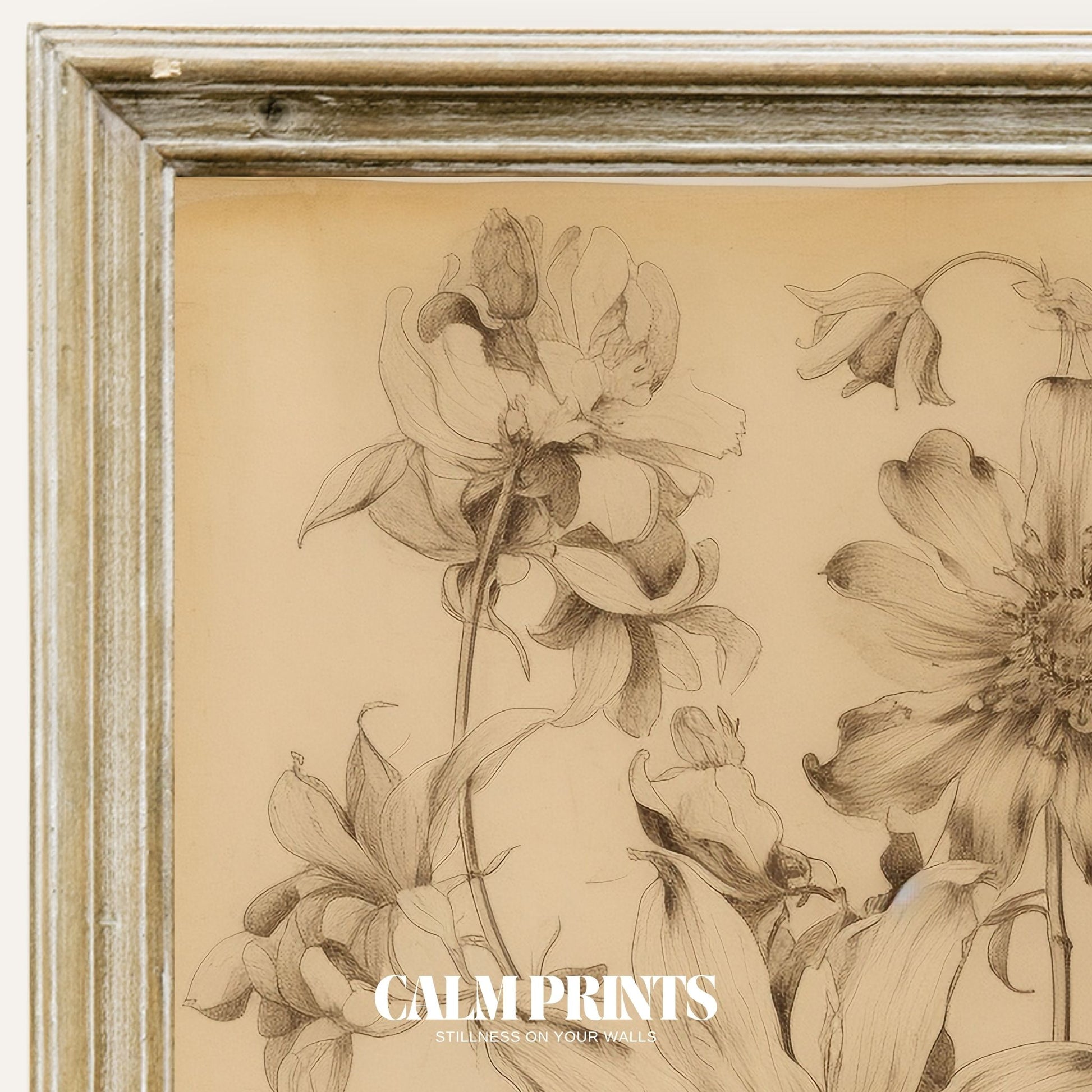 Vintage-style botanical illustration capturing natural form and texture
