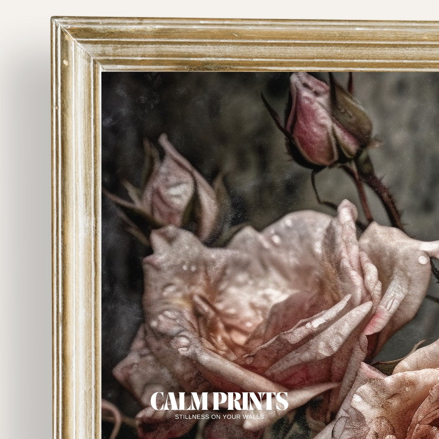 Art print of vintage-style roses gently touched by fresh morning dew
