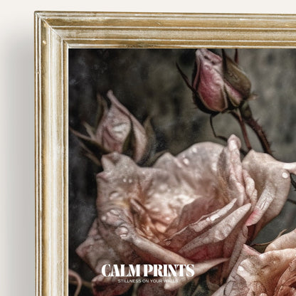 Art print of vintage-style roses gently touched by fresh morning dew
