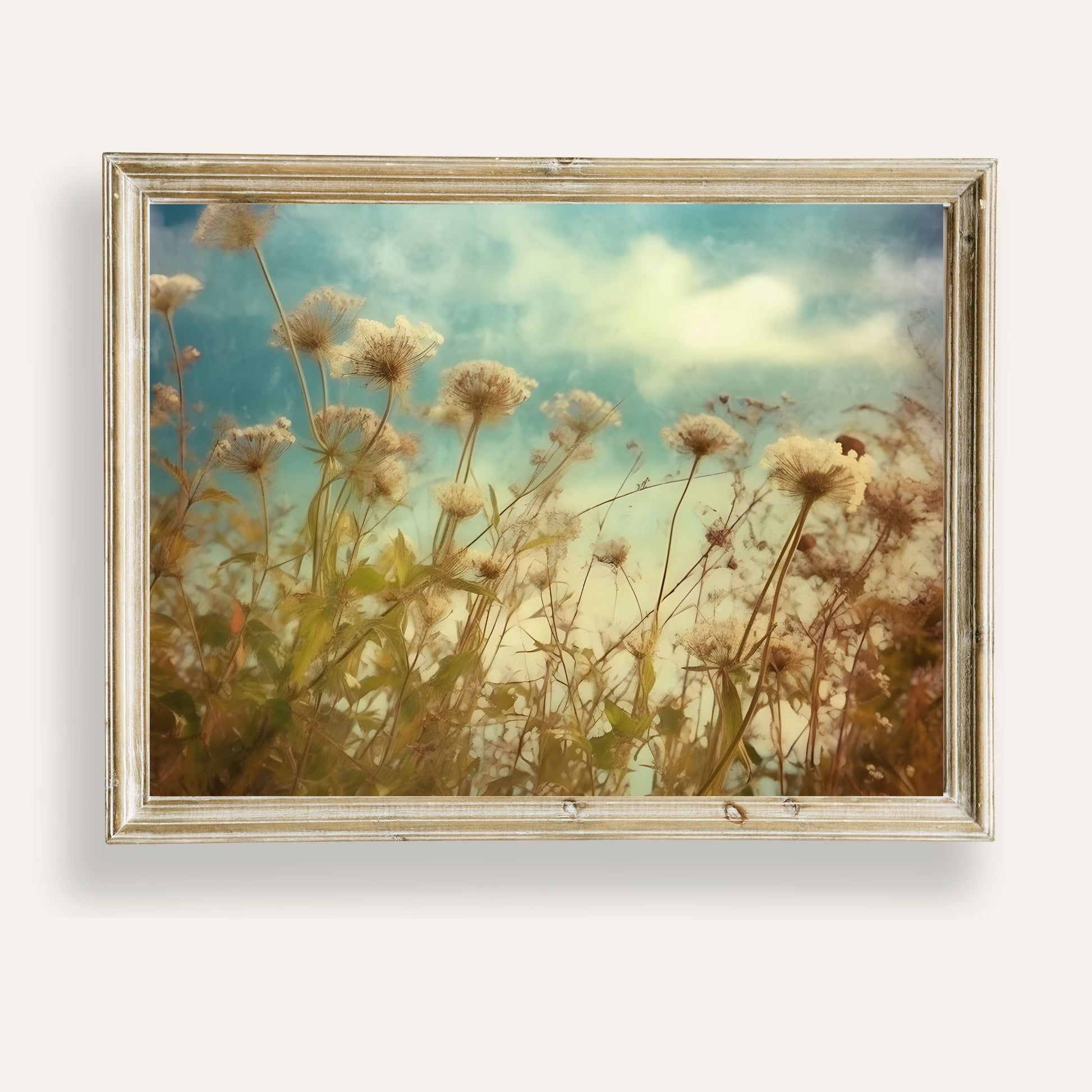 Charming wildflower field bursting with colour and whimsical charm
